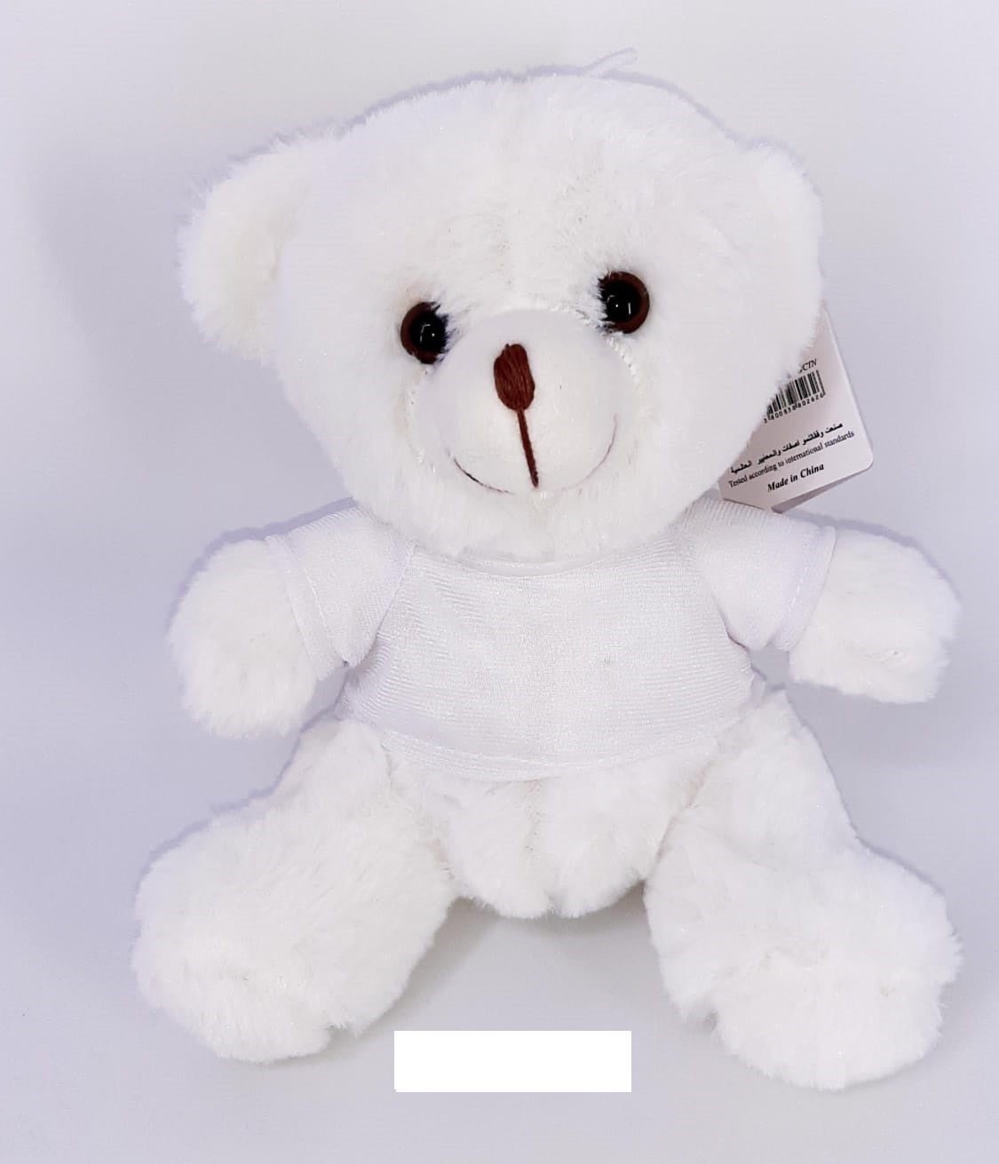 Teddy Bear in Shirt